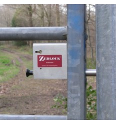 Steel Gate Zedlock  B