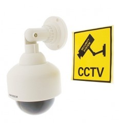 Dome Styled Decoy CCTV Camera & Warning Label (DC-25)