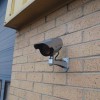 DC2 Solar Powered Dummy CCTV Camera