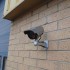DC2 Solar Powered CCTV Camera
