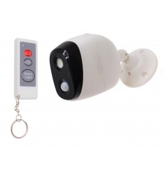 Battery Powered Security Light & Alarm (with motion and daylight sensor)