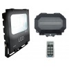 Protect 800 Outdoor Receiver with Security Flood Light
