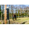 2B Solar Powered Detector Beams
