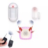 HY Wireless Pet Friendly Burglar Alarm