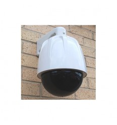 Large Dome Decoy (dummy) CCTV Camera (DC20)