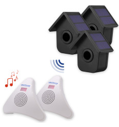 Wireless driveway & home alert kit – 2 birdbox PIRs with dual solar panels, 2 35-melody receivers with battery backup (DA600+)