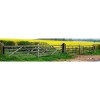 A set of 2B Solar Powered Detector Beams (mounted on two gateposts).